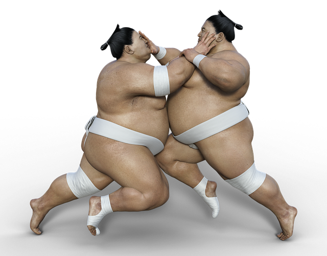 sumo